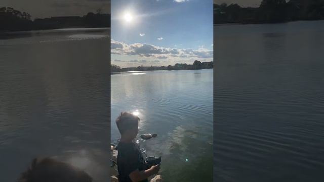 Pro Boat React 17 radio control смотреть онлайн