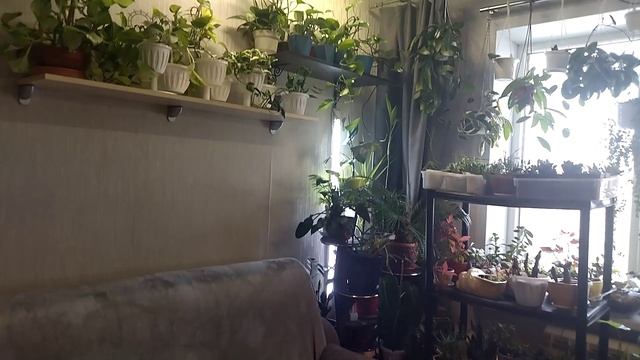 Цветочная комната_2 смотреть онлайн