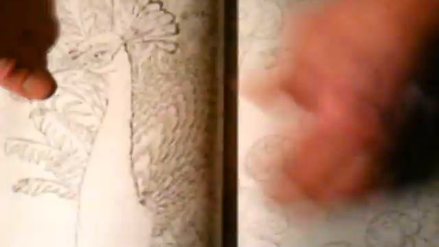 Дикие животные смотреть онлайн