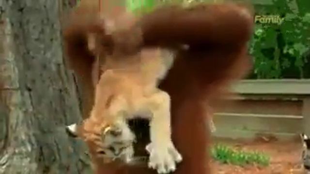 Чужих детей не бывает смотреть онлайн