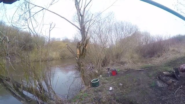 Рыба Веселится