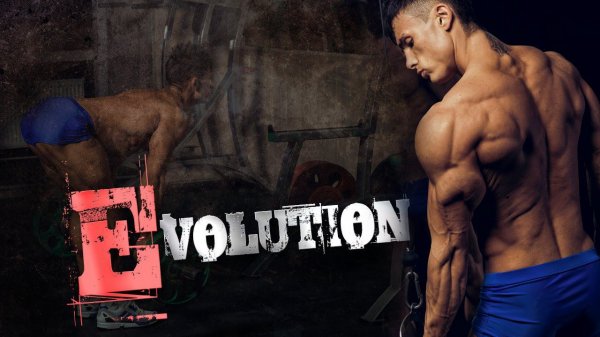 Виктор Симкин - Спортивное питание для максимального результата на этапе восстановления.