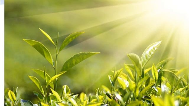 Естествознание 1 класс "Естественные источники света" смотреть онлайн