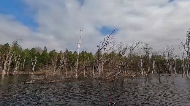 Открытие спиннинг сезона 2023. Небольшой видео отчет. Нижне-Бурейское водохранилище. смотреть онлайн