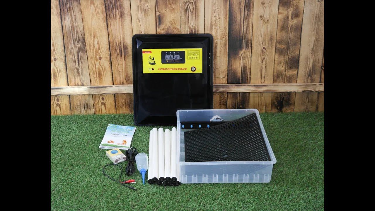 Инкубатор автоматический 