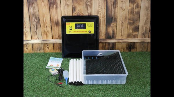 Инкубатор автоматический "SITITEK 64"