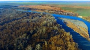 Амалия Устарханова супер песня чеченская лезгинка 2022