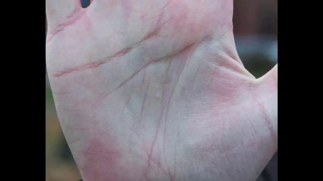 Хиромантия по линии жизни смотреть онлайн