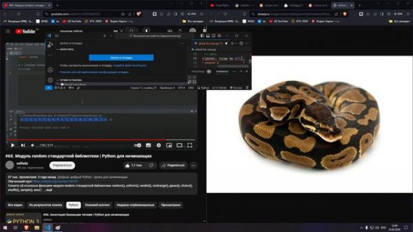 ДЕЛАЕМ РУССКУЮ РУЛЕТКУ НА PYTHON ЗА ЧАС С НУЛЯ. 2024