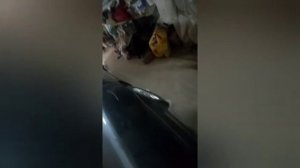 Ремонт тормозного цилиндра  или суппорта.Замена ремкомплекта шкода,ауди,фольксваген.Замена тормозух