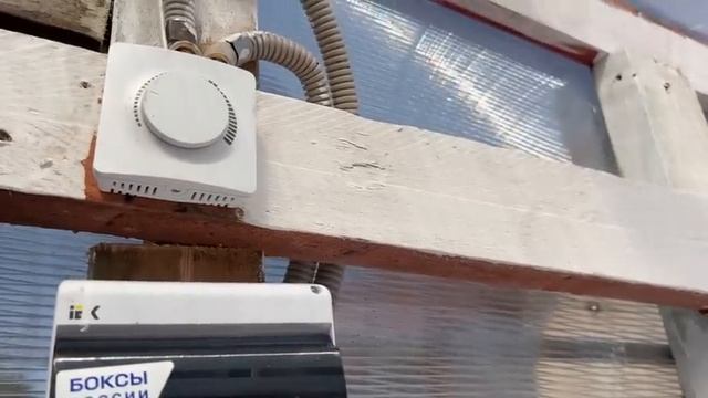 Еще одна теплица. Невеста цветёт. Метельчатые гортензии на улице. смотреть онлайн