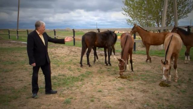 DISCOVERING KAZAKHSTAN — Выпуск № 6 смотреть онлайн