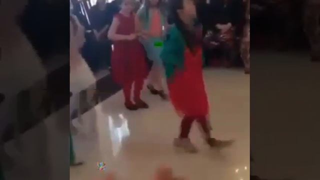 Цыганские приколы смотреть онлайн