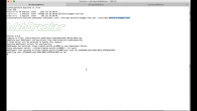 Creating and scanning a Swagger API with WebBreaker смотреть онлайн