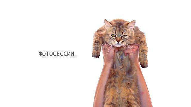 Рекламный ролик видеостудии PAVEL KOROLEV PRODUCTION смотреть онлайн