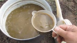 Подкормка груши весной