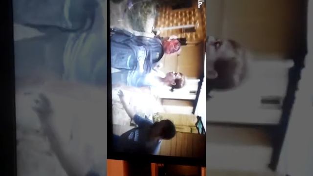 змеи кусают людей смотреть онлайн
