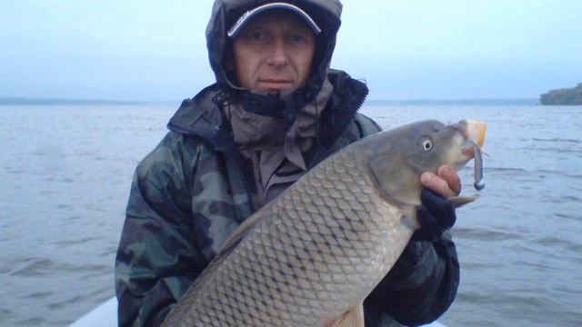 Старый Днепр 2010 смотреть онлайн