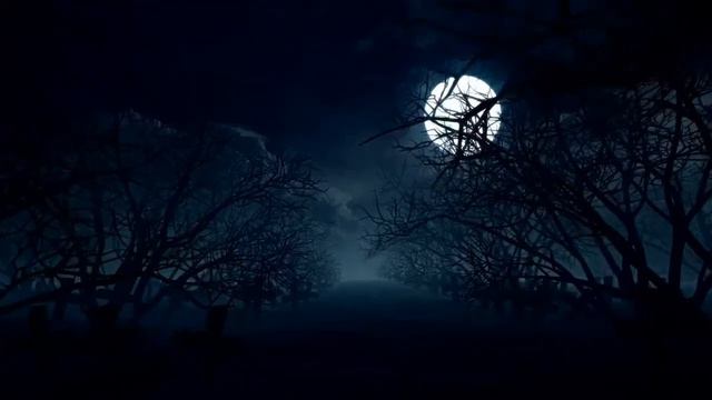 Full moon on halloween night, loop video смотреть онлайн