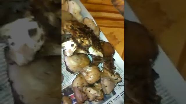 Грибы - синяя ножка или рядовка -лиловая! смотреть онлайн