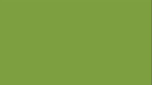 palm leaf (Image color before encoding - R:128 G:161 B:66) смотреть онлайн