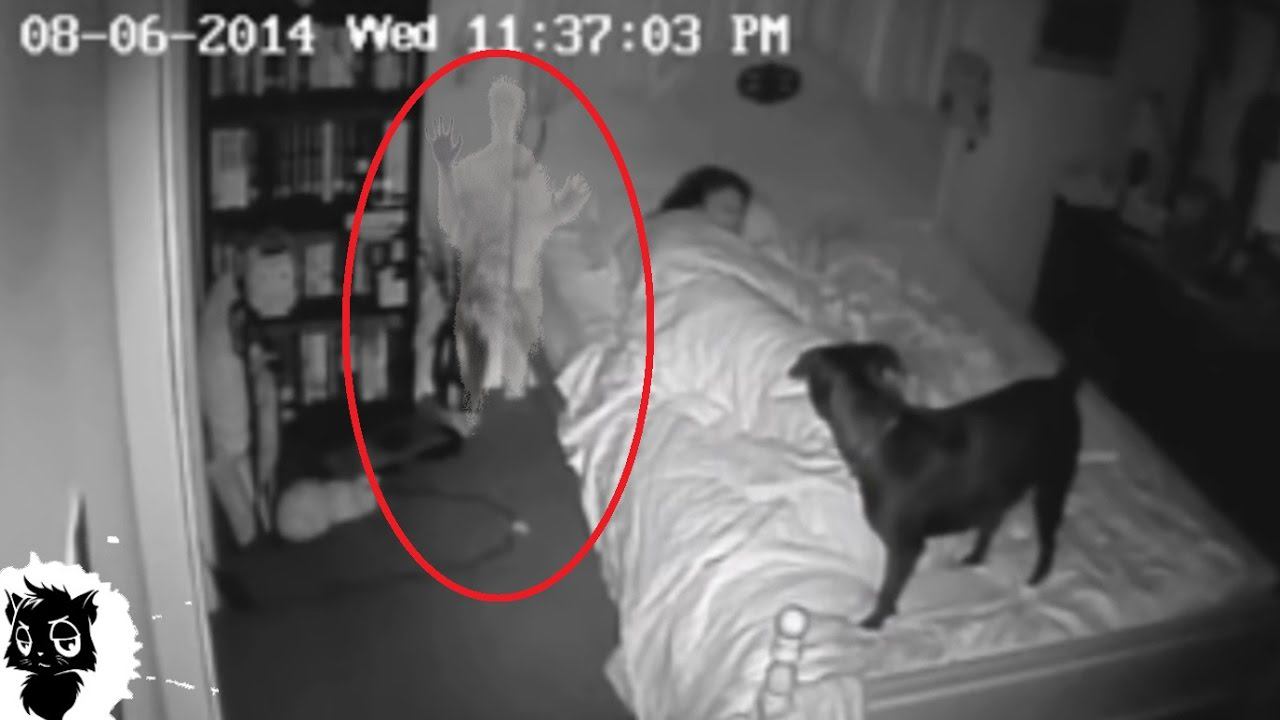 5 РЕАЛЬНЫХ СЛУЧАЕВ КОГДА ДОМОВОГО СНЯЛИ НА КАМЕРУ [Черный кот] смотреть онлайн