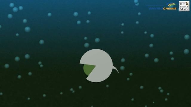 Метанреактор производства компании "Энвиро-Хеми Гмбх" | Как это работает смотреть онлайн