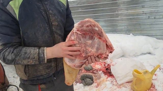 4⃣ МЕСЯЦА я ЖДАЛ этого МОМЕНТА и он НАСТАЛ смотреть онлайн