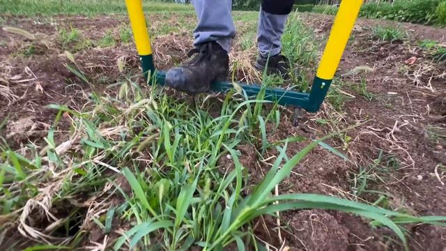 ORTO AUTUNNALE completo in 4 STEP смотреть онлайн