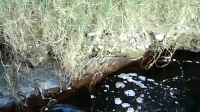 inquinamento Lazzaro e Motta SG - aumento patologie tumorali смотреть онлайн