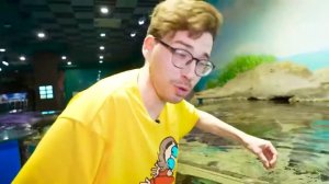 24 Часа в ОГРОМНОМ ДЕЛЬФИНАРИИ Человека !