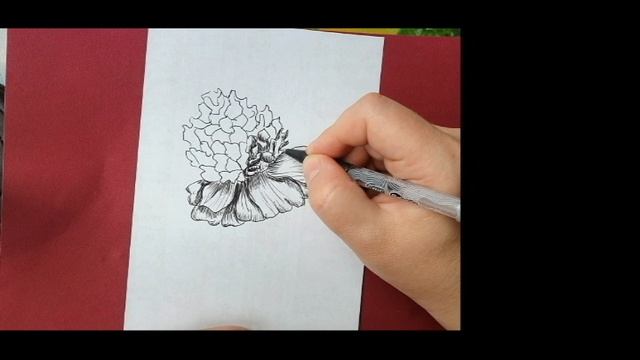 Как нарисовать цветок черной ручкой, легко и просто смотреть онлайн
