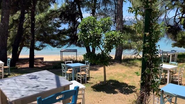 НА КАФЕ #6 - Тридневен сплит | Време за хранене и медитация смотреть онлайн