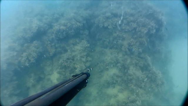 море кефаль смотреть онлайн