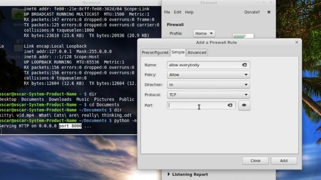 30 Second Web Server for Home File Sharing Using Linux смотреть онлайн