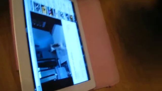 Мира смотрил ролик про кошку и собаку)))))))) смотреть онлайн