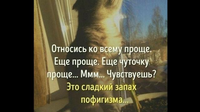 С пятницей! Ура пятница! Приколы про пятницу Веселое видео! смотреть онлайн