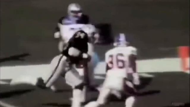 The All-Time Fastest Athletes In EVERY Major Sport смотреть онлайн