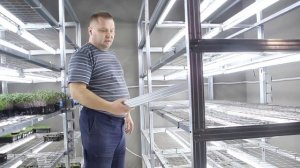 Стеллаж для микрозелени. Экономим на оборудовании. Как выращивать микрозелень