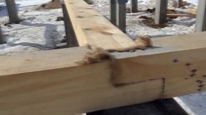 каркасный дом на жб сваях Обвязка