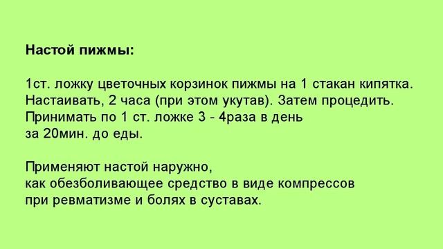 Пижма обыкновенная (Tanacétum Vulgáre). Пижма народные рецепты