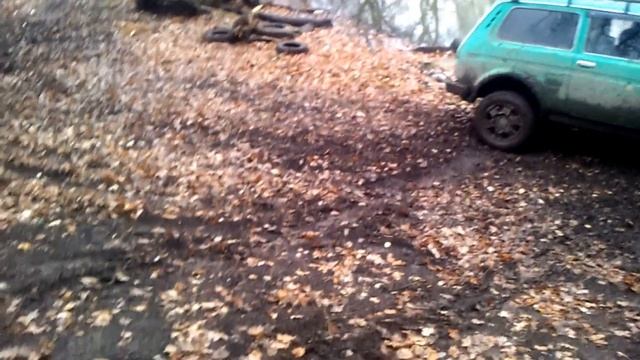 Покатухи на нивах.,кама флейм,корды,кумхо кл 71