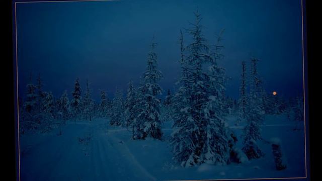 В. Суриков. БЕЗНАДЁЖНОЕ ДЕЛО (авторская песня).