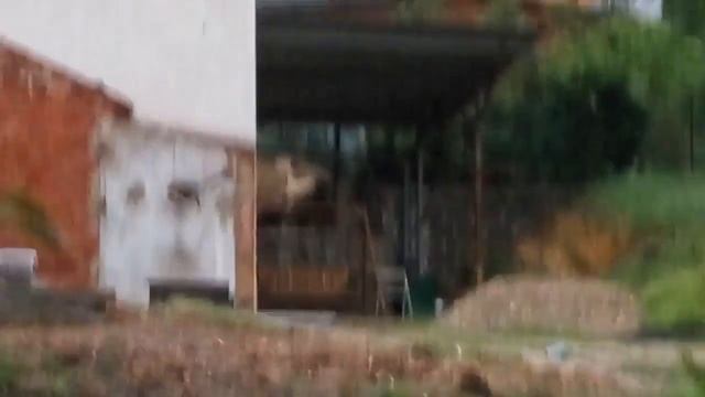 Small Niagara Falls My Garden