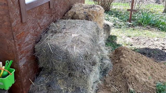 Царство мышей . 1500 гвоздей . Дачные будни смотреть онлайн