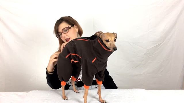 PetProductReview - DGDogGear Fleece Jumpsuit смотреть онлайн