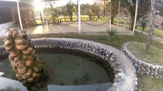 Абхазия. Гагра. Сероводородный источник. 2часть смотреть онлайн