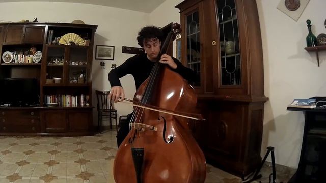 Giovanni Bottesini Concerto for Double Bass No 2 in B Minor (I & II) смотреть онлайн