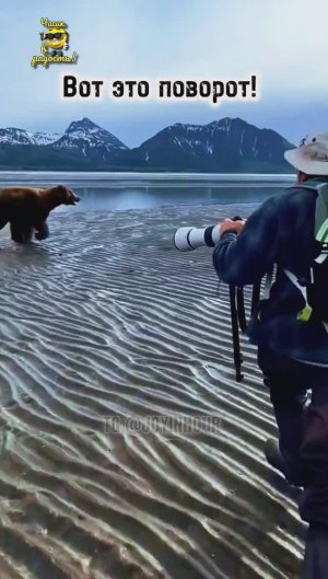 Рисковые фотографы! #shorts #фотограф #юмор #приколы #ржака #врек #втоп #лайк #подписка #хочуврек