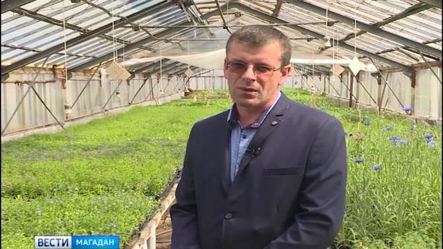 200 тысяч цветов к юбилею Магадана смотреть онлайн